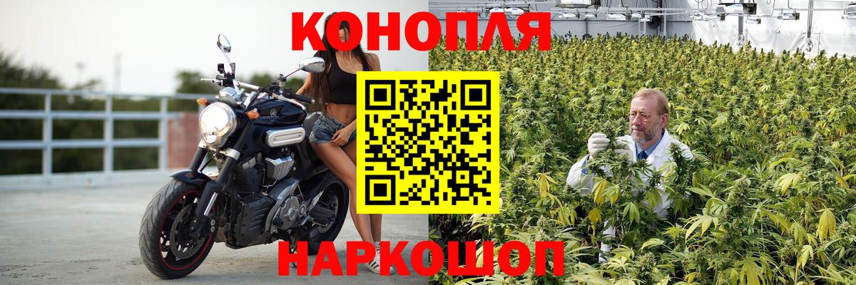 Балашиха  Конопля план  Бошки марихуана VHQ  Вход с VPN 